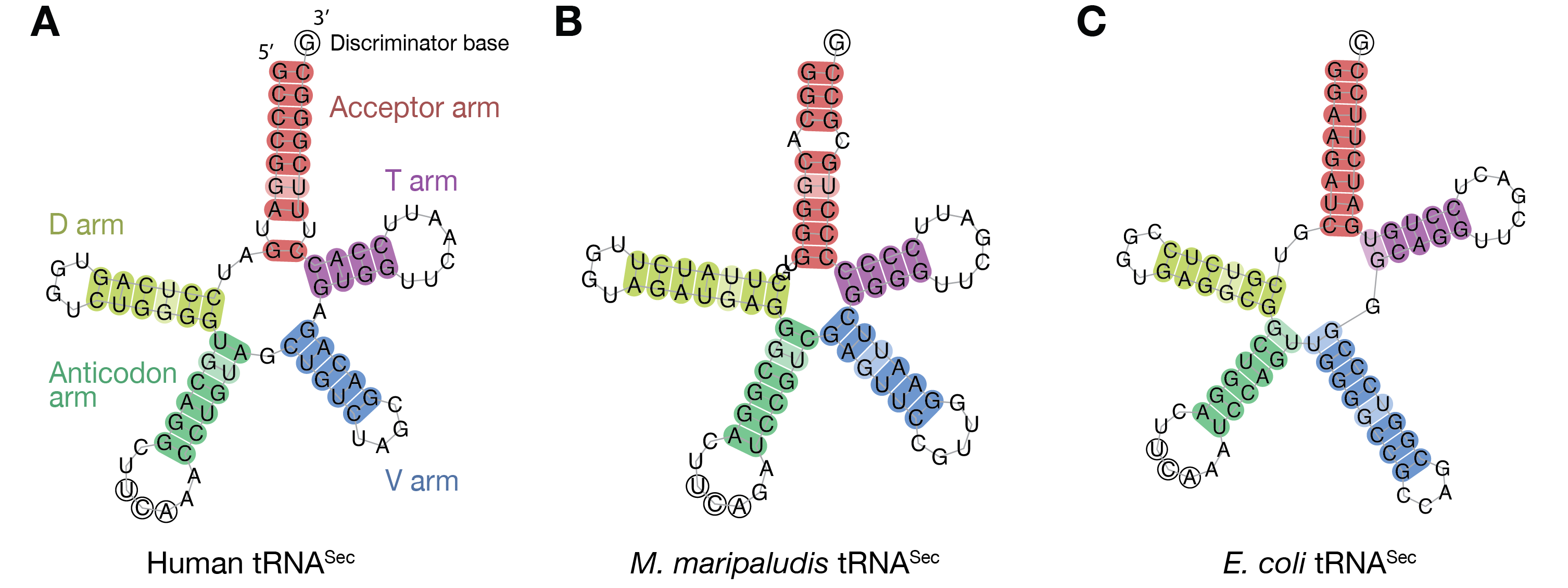 Figure1